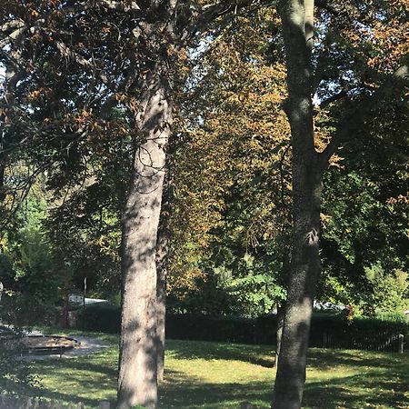 Domizil Eutschuetzgruen Apartment Bannewitz Luaran gambar