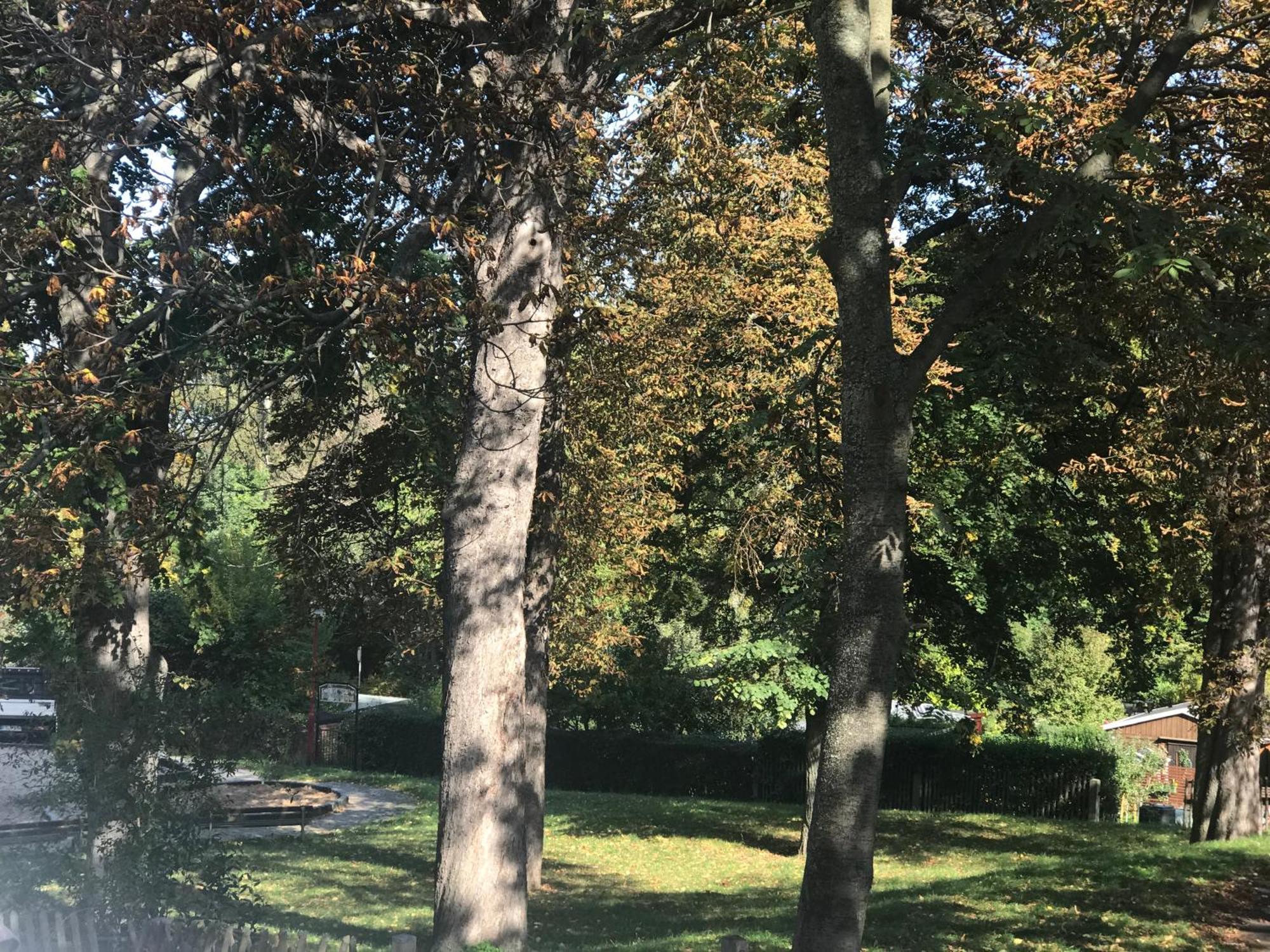 Domizil Eutschuetzgruen Apartment Bannewitz Luaran gambar